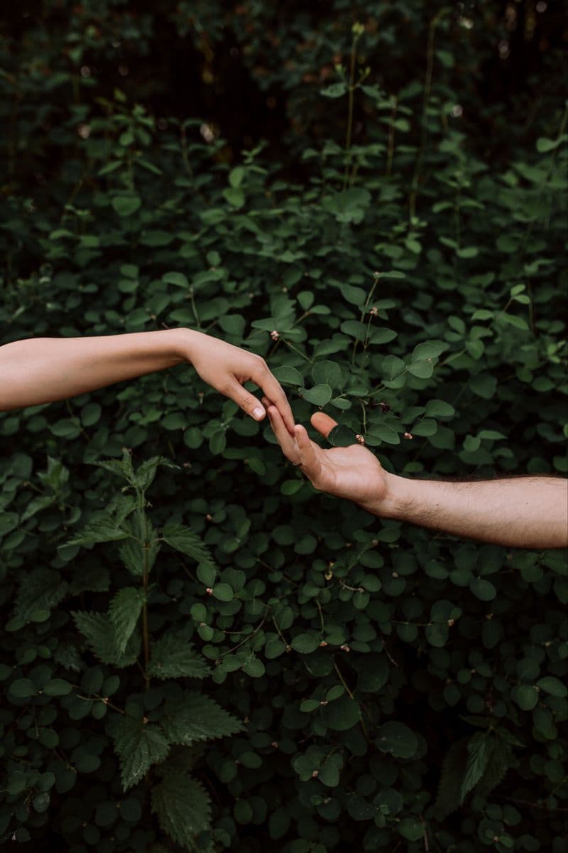 Hands connecting against natural green foliage, representing holding space in nature